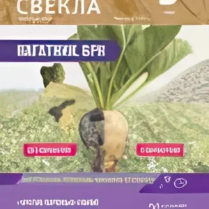 Сахарная свекла