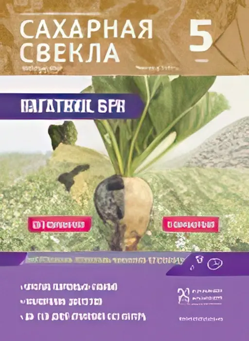 saharnaya_svekla.webp