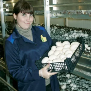 Школа грибоводства